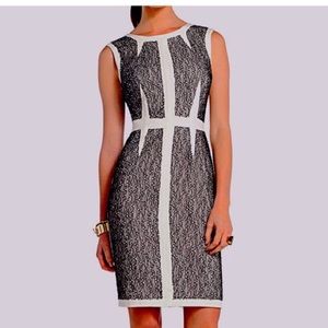 BCBGMaxAzria Rumor Dress